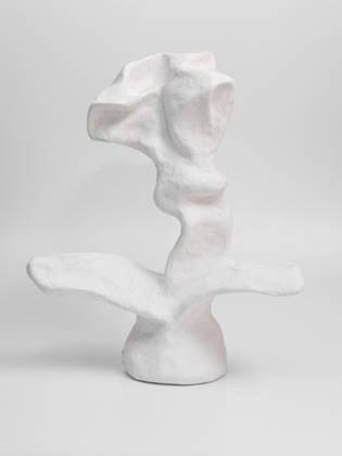 Вечнорастущий